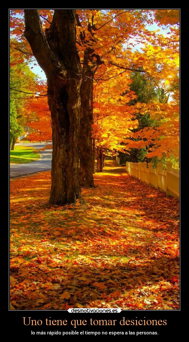 Uno tiene que tomar desiciones -