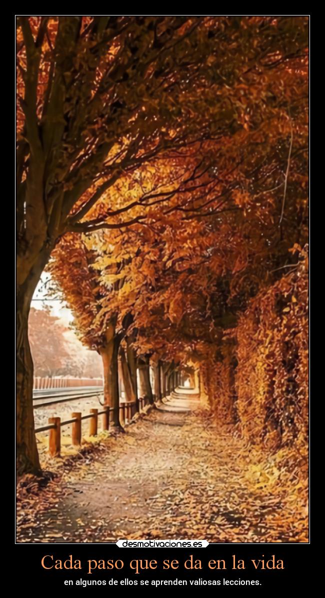 Cada paso que se da en la vida - en algunos de ellos se aprenden valiosas lecciones.