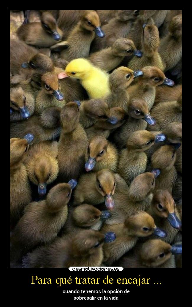 Para qué tratar de encajar ... -