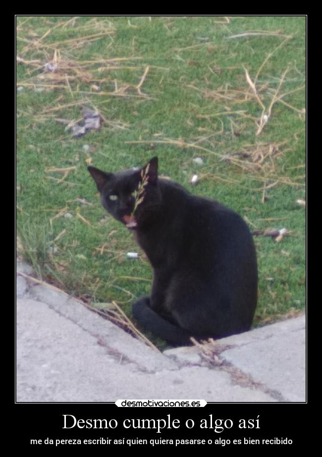 Desmo cumple o algo así -