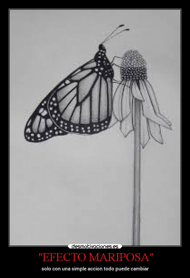 carteles vida marionobros losanonimos mdsm locosdeamor laalianzarebelde mario desmotivaciones