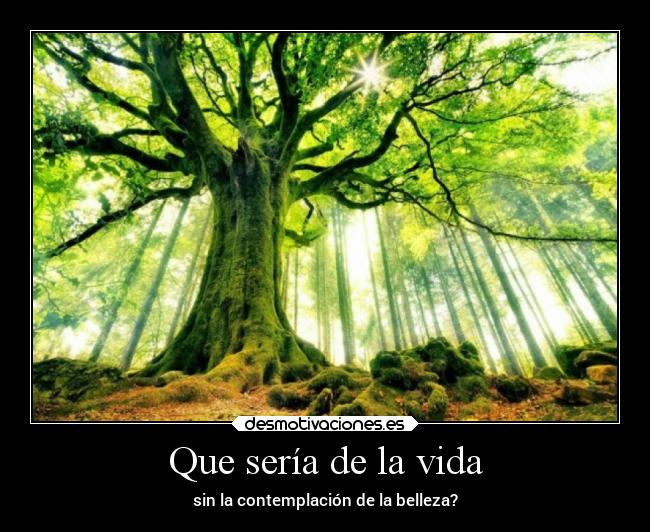 Que sería de la vida - sin la contemplación de la belleza?