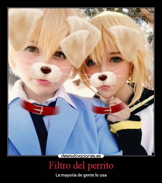 Filtro del perrito -