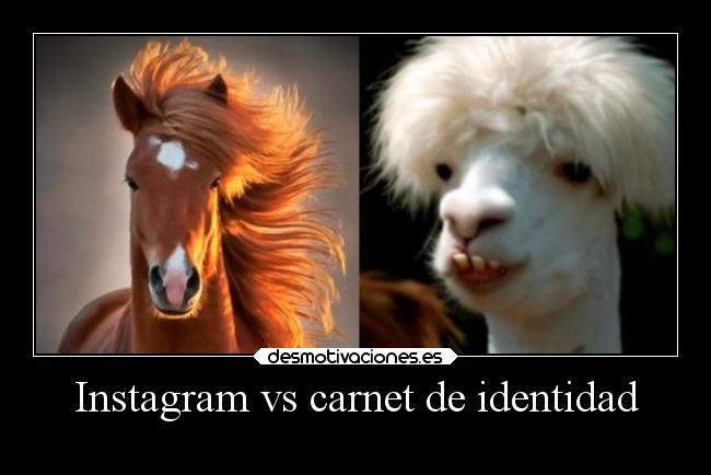 Instagram vs carnet de identidad - 