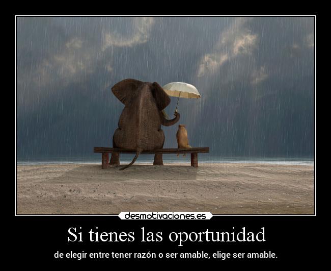 Si tienes las oportunidad - de elegir entre tener razón o ser amable, elige ser amable.