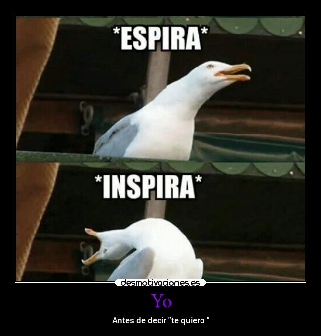 Yo - Antes de decir te quiero