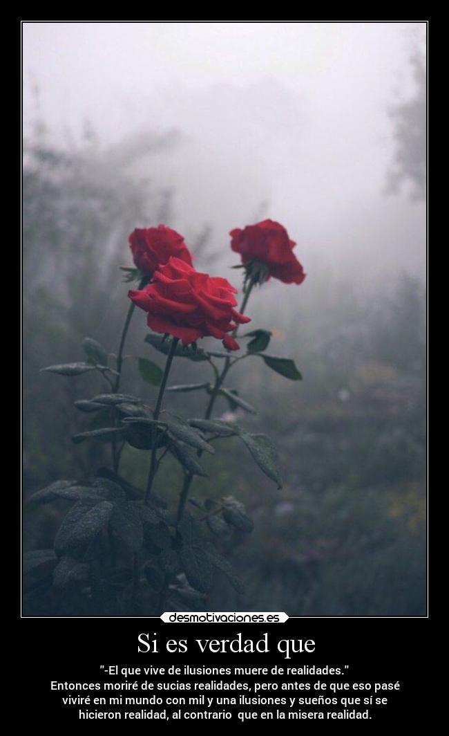 Si es verdad que - -El que vive de ilusiones muere de realidades.
Entonces moriré de sucias realidades, pero antes de que eso pasé
viviré en mi mundo con mil y una ilusiones y sueños que sí se
hicieron realidad, al contrario que en la misera realidad.