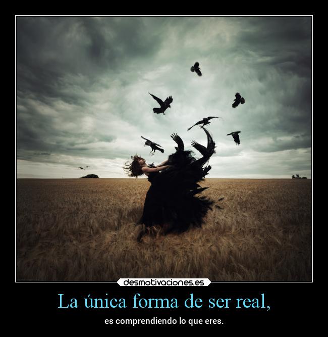 La única forma de ser real, - es comprendiendo lo que eres.