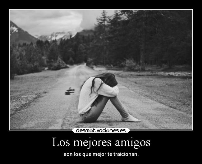 Los mejores amigos - 