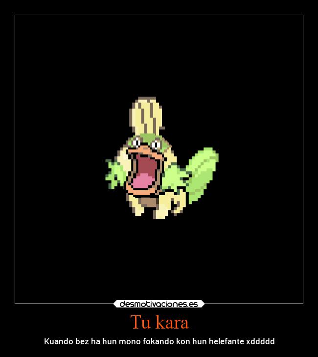 carteles amor mierda pollas desmotivaciones