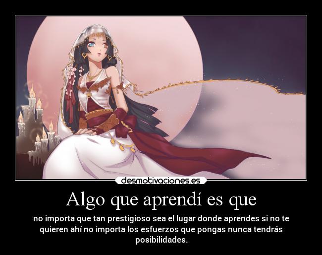 Algo que aprendí es que - no importa que tan prestigioso sea el lugar donde aprendes si no te
quieren ahí no importa los esfuerzos que pongas nunca tendrás
posibilidades.