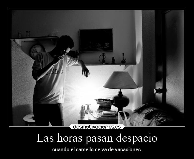Las horas pasan despacio - cuando el camello se va de vacaciones.