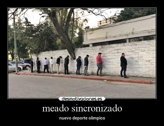 meado sincronizado - nuevo deporte olimpìco