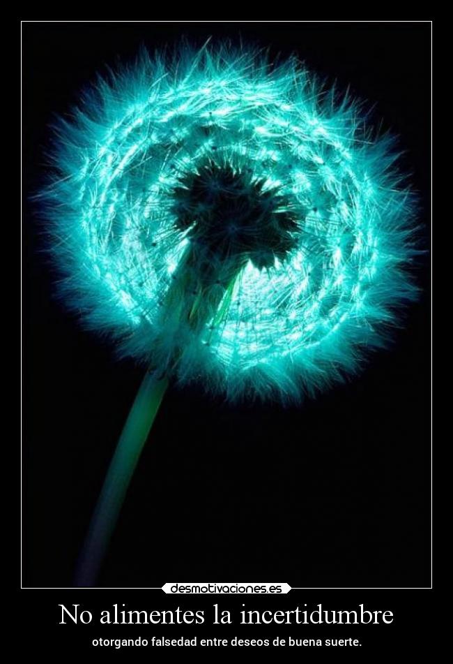 No alimentes la incertidumbre - 