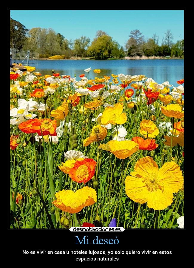 Mi deseó - No es vivir en casa u hoteles lujosos, yo solo quiero vivir en estos
espacios naturales
