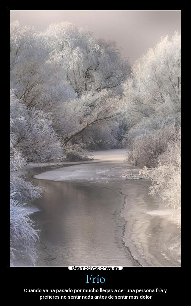 Frío - Cuando ya ha pasado por mucho llegas a ser una persona fría y
prefieres no sentir nada antes de sentir mas dolor
