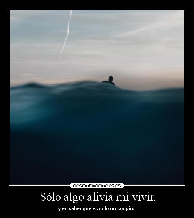 carteles desmotivaciones vida clandesplazado soyunidiotatm manada32 projectd desmotivaciones