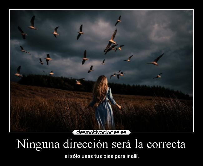 Ninguna dirección será la correcta - 