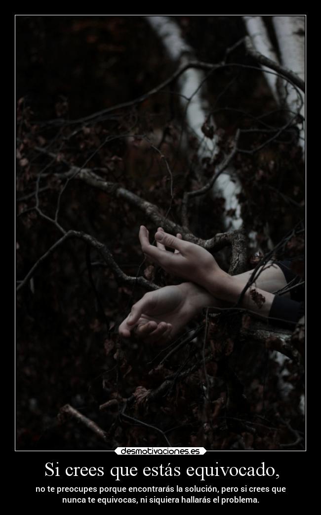 carteles desmotivaciones vida clandesplazado soyunidiotatm projectd manada32 desmotivaciones