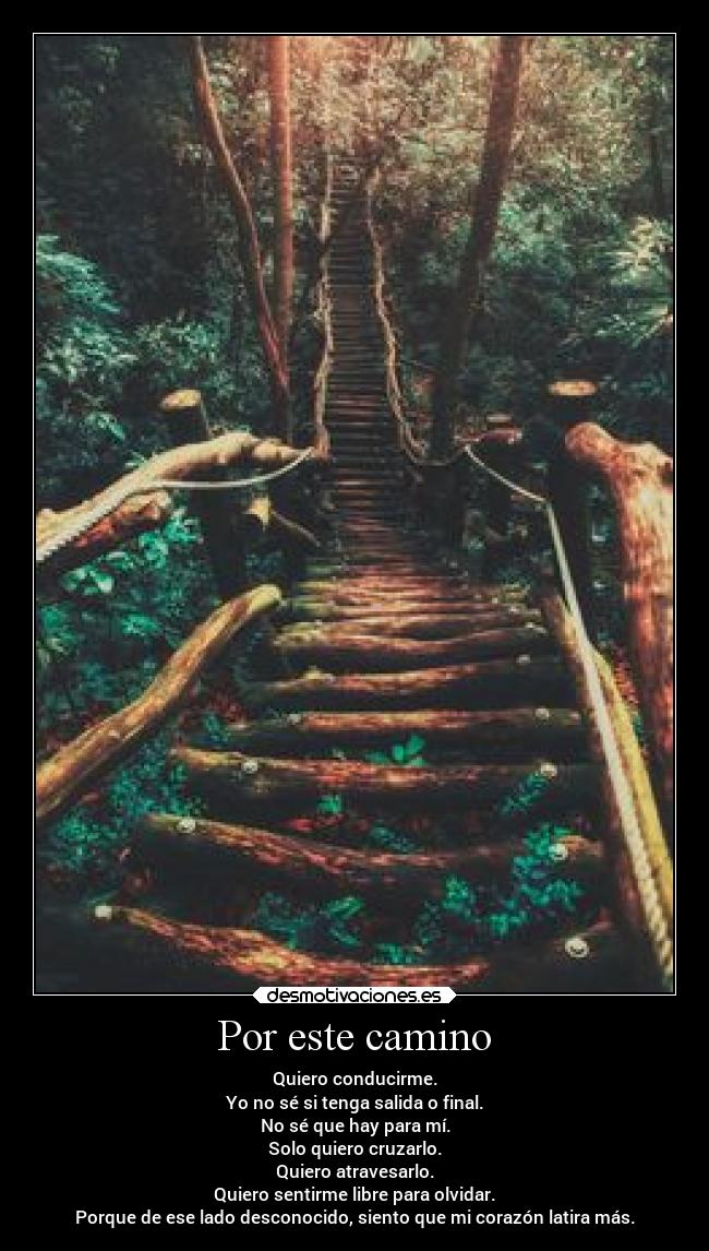 Por este camino - Quiero conducirme.
Yo no sé si tenga salida o final.
No sé que hay para mí.
Solo quiero cruzarlo.
Quiero atravesarlo.
Quiero sentirme libre para olvidar.
Porque de ese lado desconocido, siento que mi corazón latira más.