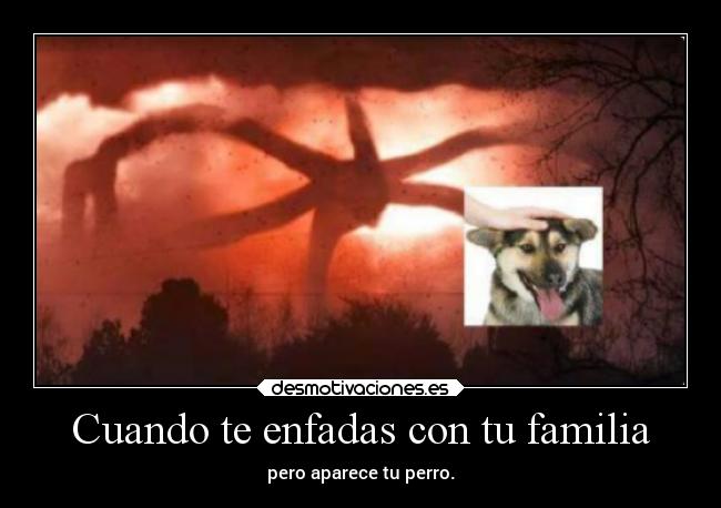 Cuando te enfadas con tu familia - pero aparece tu perro.