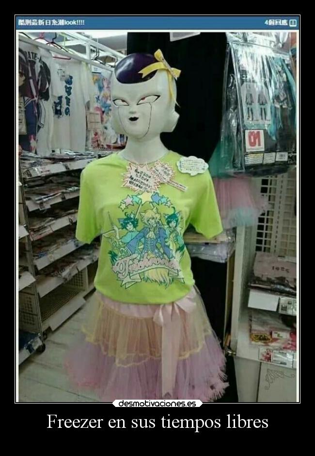 Freezer en sus tiempos libres - 