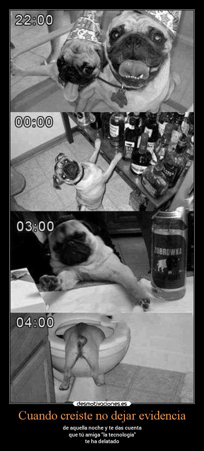 carteles humor desmotivaciones