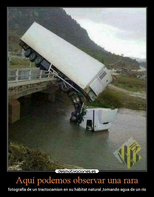 carteles humor natural desmotivaciones