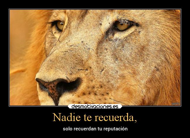 Nadie te recuerda, - 