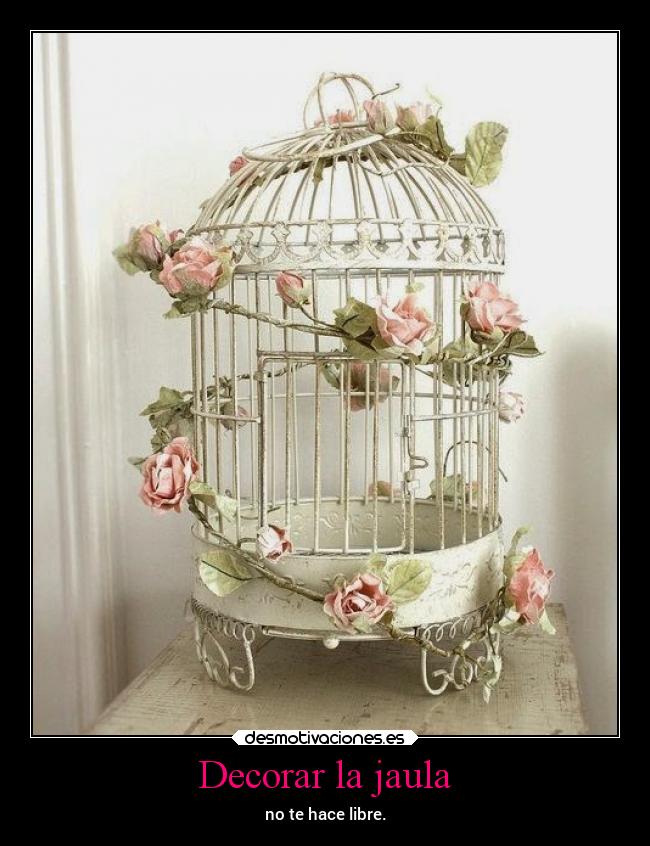 Decorar la jaula - 