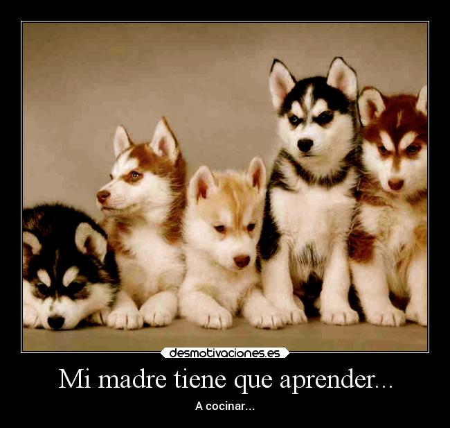 carteles madre risa ternura huskys mencantan desmotivaciones