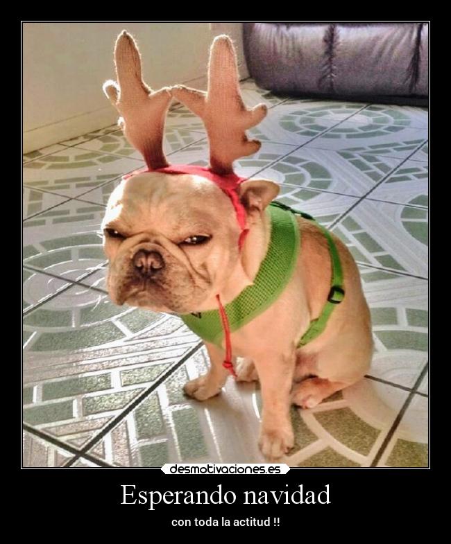 Esperando navidad - 
