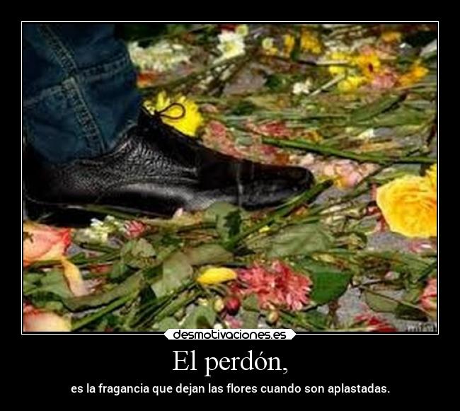 carteles olvidar perdon desmotivaciones