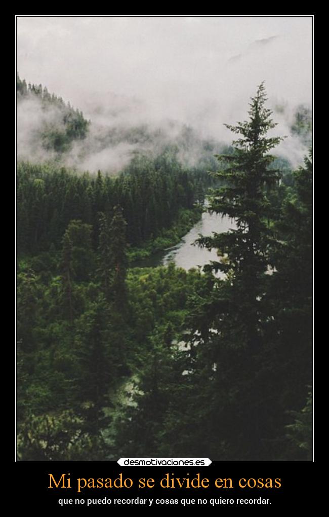 Mi pasado se divide en cosas -