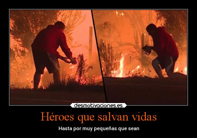 Héroes que salvan vidas -