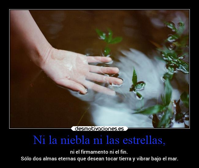 Ni la niebla ni las estrellas, - ni el firmamento ni el fin.
Sólo dos almas eternas que desean tocar tierra y vibrar bajo el mar.