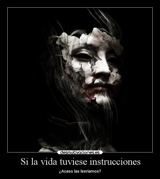 Si la vida tuviese instrucciones - 