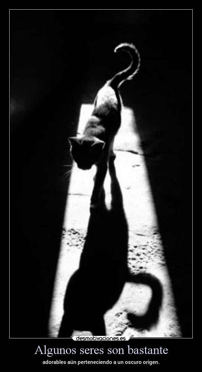 Algunos seres son bastante -