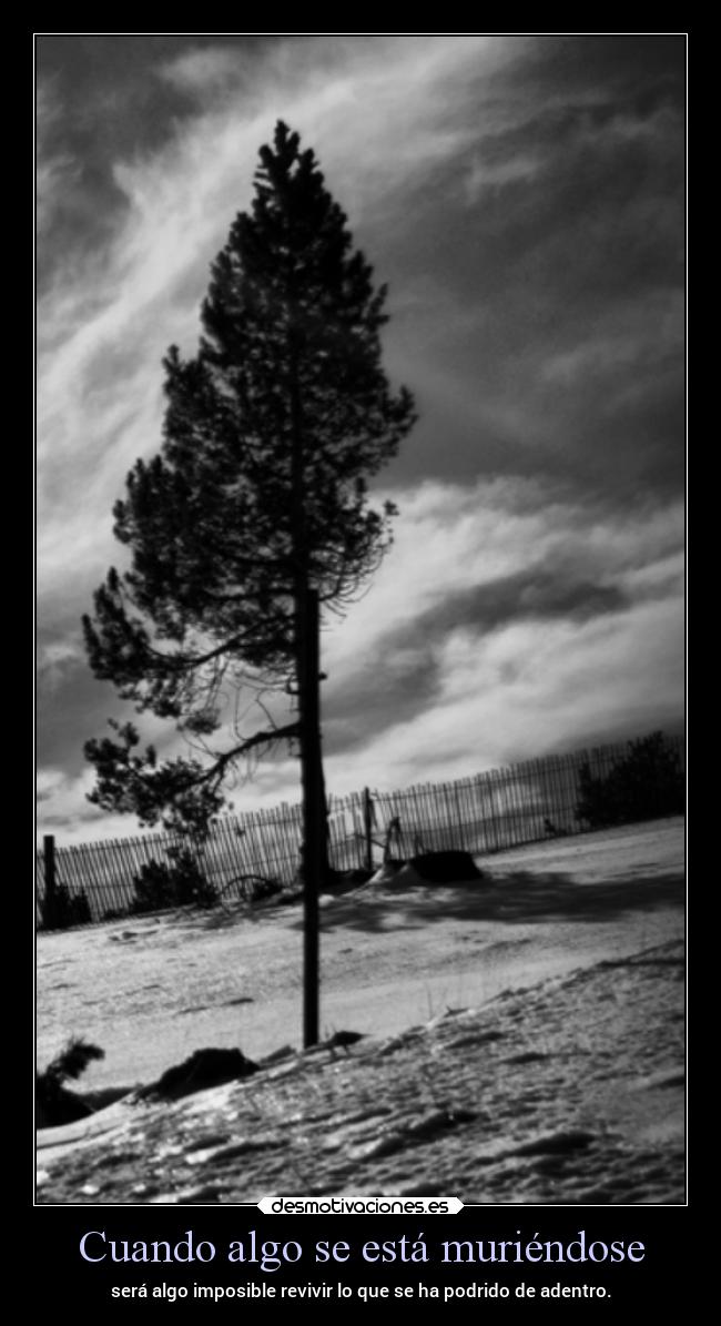 carteles vida frases desmotivaciones alex vazquez999 blancoynegroav desmotivaciones