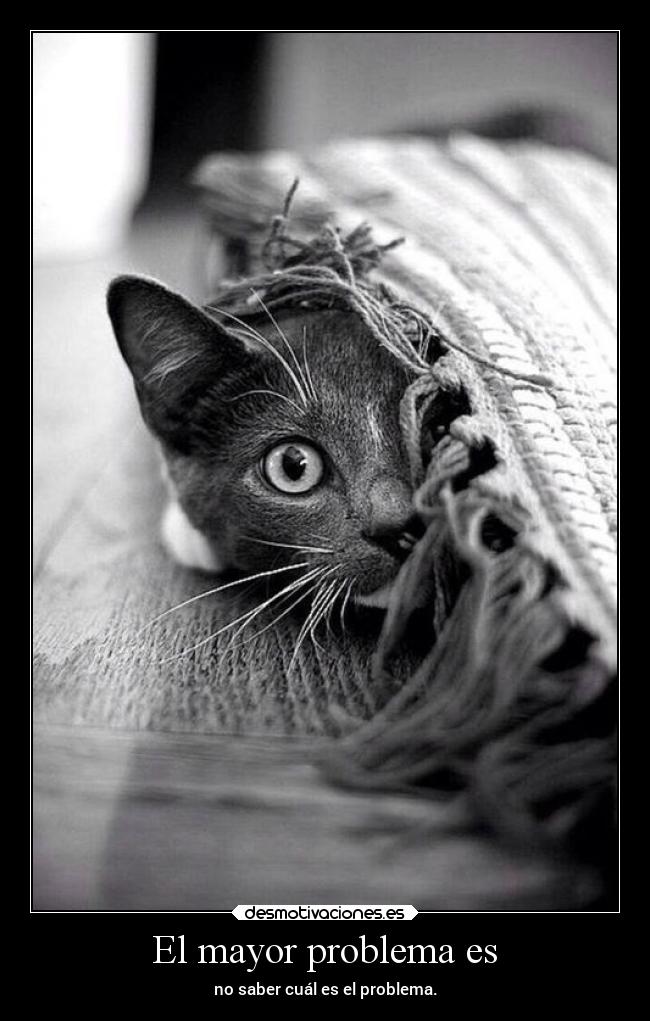 El mayor problema es - no saber cuál es el problema.