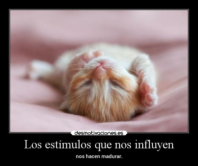 Los estímulos que nos influyen - 