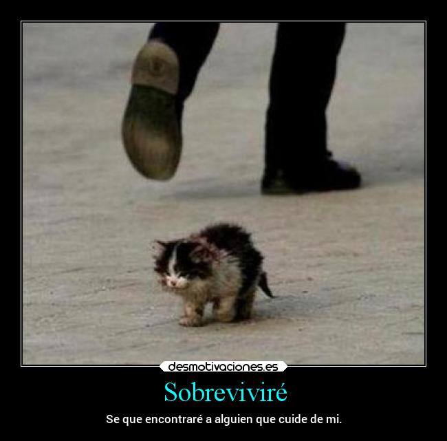 Sobreviviré -