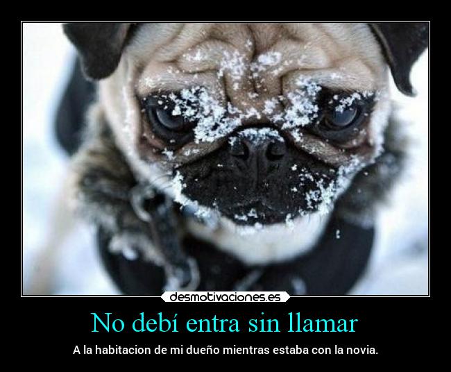 carteles abrazos alegria alma amigos amistad amor confianza besos desmotivaciones dokuro hatsune desmotivaciones