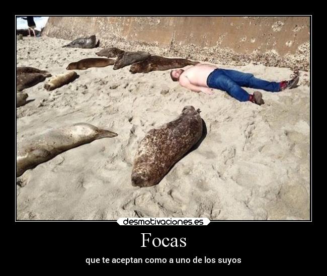 carteles abrazos aleinad2002 desmotivaciones