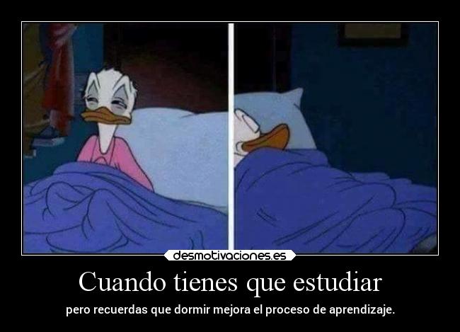 Cuando tienes que estudiar -