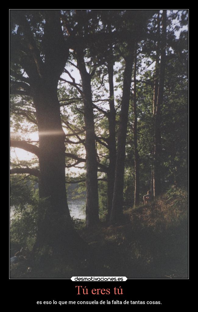 Tú eres tú - 
