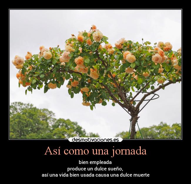 Así como una jornada -