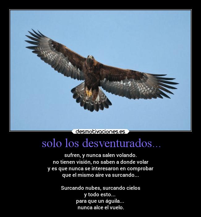solo los desventurados... - sufren, y nunca salen volando.
no tienen visión, no saben a donde volar
y es que nunca se interesaron en comprobar
que el mismo aire va surcando...
Surcando nubes, surcando cielos
y todo esto...
para que un águila...
nunca alce el vuelo.