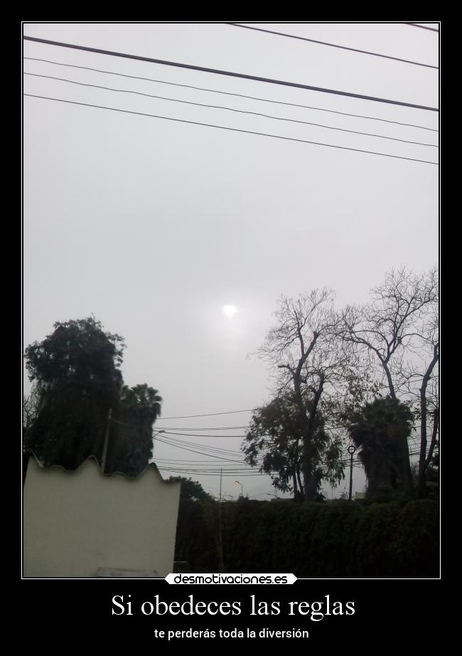 Si obedeces las reglas - 