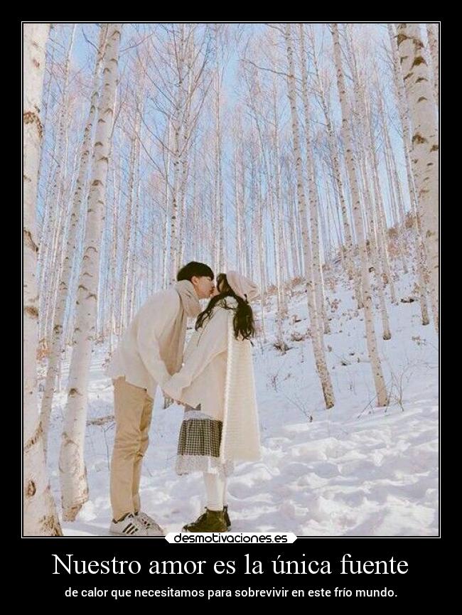 carteles amor vida amor aishiterumago fairymago projectd desmotivaciones